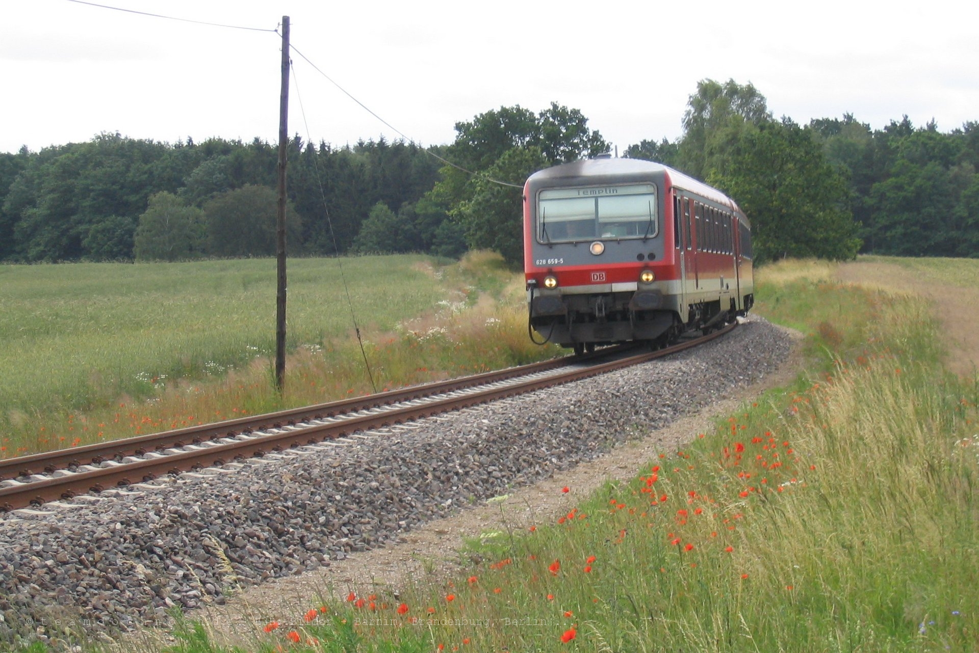 628 659-5 auf dem Weg nach Templin kurz vor dem Bahnhof Friedrichswalde