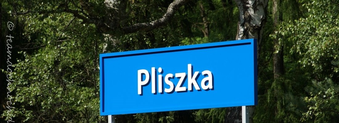 Bahnhof Pliszka