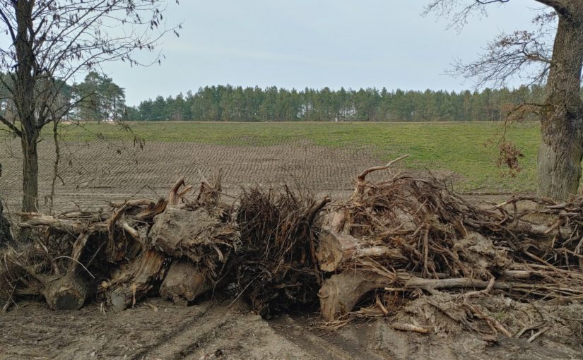Der Heber vom Mäckersee ist zurückggebaut