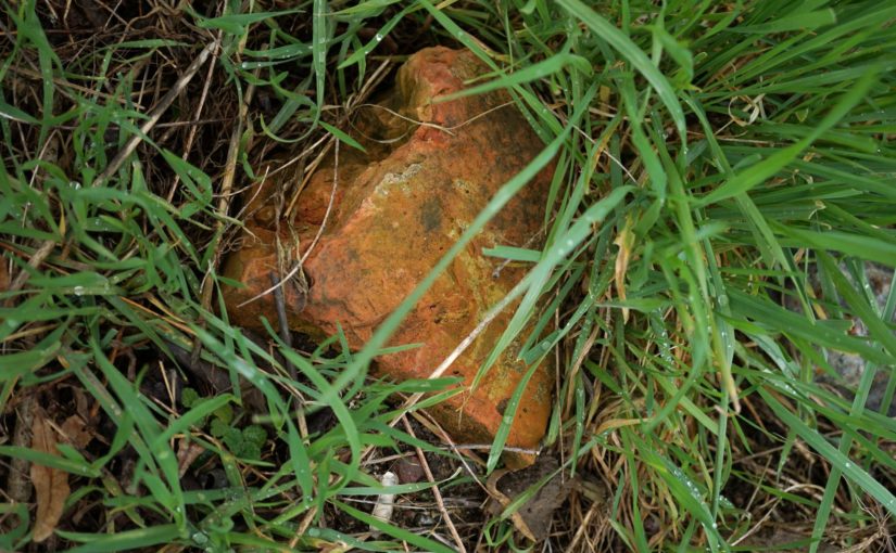 Spurensuche ehem. Chausseehaus Zichow