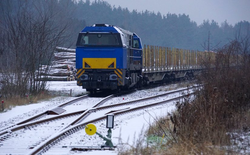 G2000 am ehemaligen Containerbahnhof Eberswalde