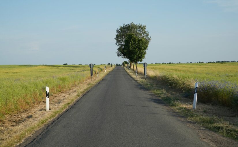 Bahnübergang und Reste einer Allee bei Dütschow