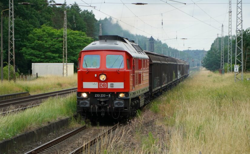 233 233-6 mit ihrem Güterzug in Chorin