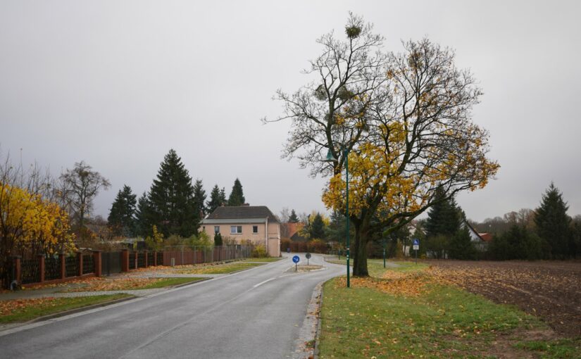 Chausseehaus Steinbeck