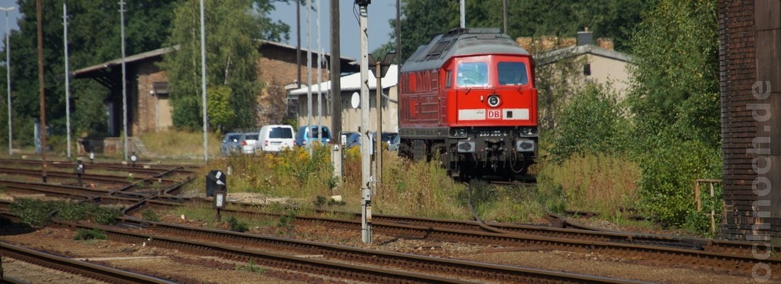 Diesellok und Güterwagen im Güterbahnhof Horka