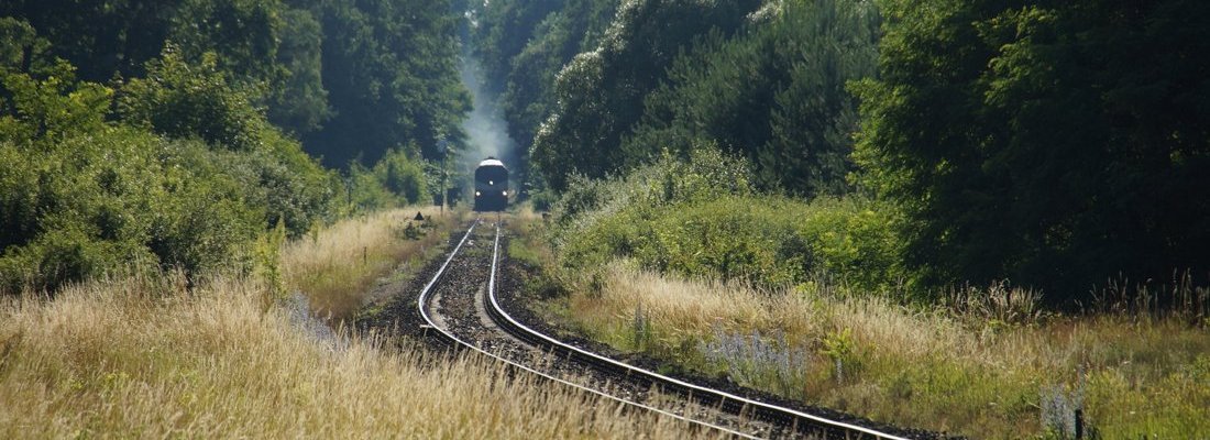 231-014 nähert sich der Ausweichstelle bei Szczawno