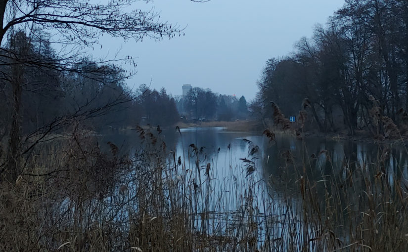 Ein dunkelgrauer Morgen am Finowkanal