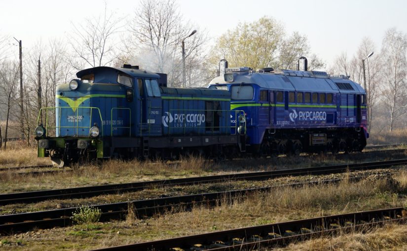 SM42-1100 und ST44-1206 stehen im Bahnhof Krosno Odrzańskie